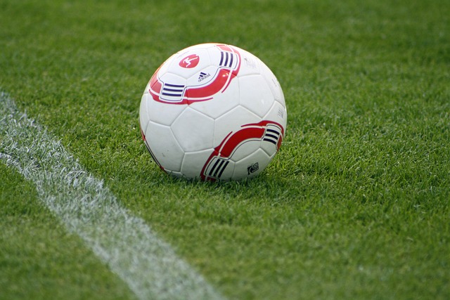 西部战局中 西部战局中