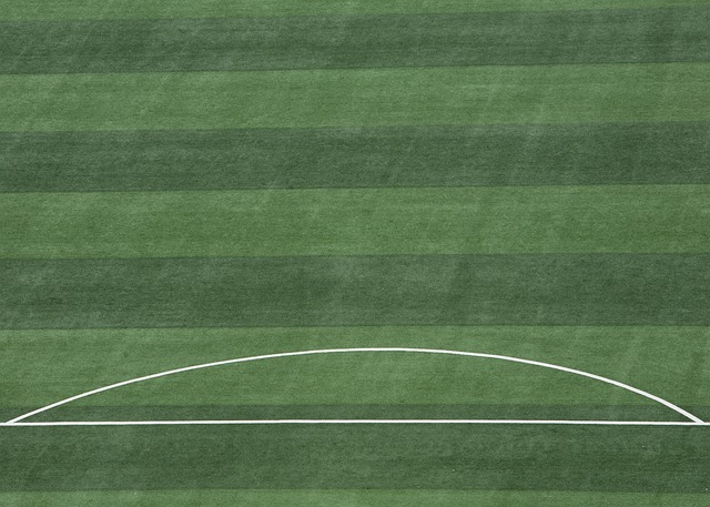 除了門將和 除了門將和