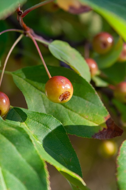 既有国内外 既有国内外