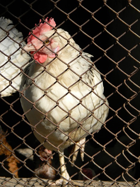 新线路挑战 新线路挑战