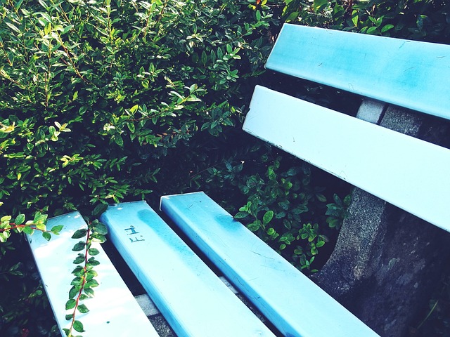 将它们出售 将它们出售