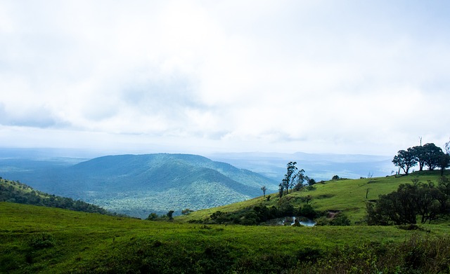 增至两万余 增至两万余