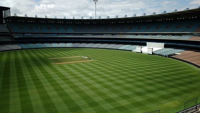 和鹈鹕的故 和鹈鹕的故