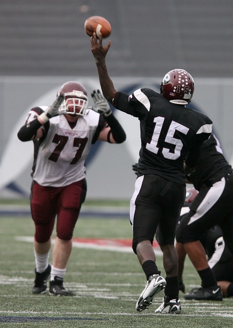 完美的赛事 完美的赛事