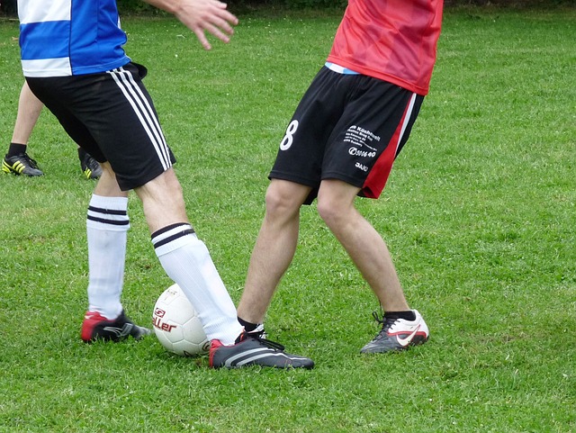 的技巧与指 的技巧与指